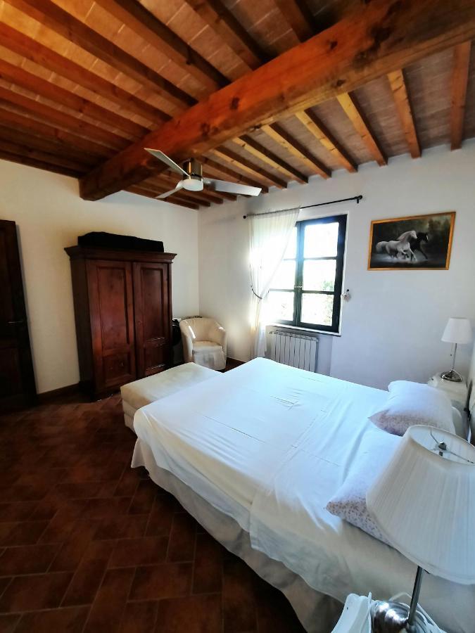 Il Casolare Val Di Mare Apartamento Riparbella Exterior foto