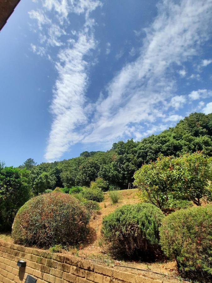 Il Casolare Val Di Mare Apartamento Riparbella Exterior foto